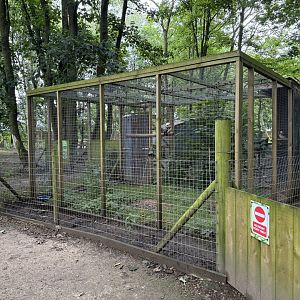 Laughing Kookaburra Aviary at Bridlington Animal Park (July 2024)