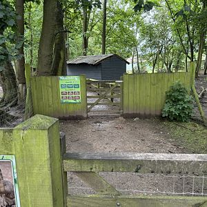 Wallaby Walkthrough Entrance at Bridlington Animal Park (July 2024)