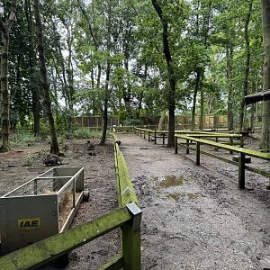 Wallaby / Emu / Mara Walkthrough Enclosure at Bridlington Animal Park (July 2024)