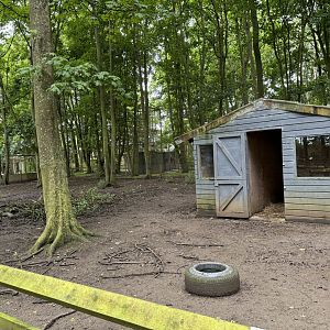 Wallaby / Emu / Mara Walkthrough Enclosure at Bridlington Animal Park (July 2024)