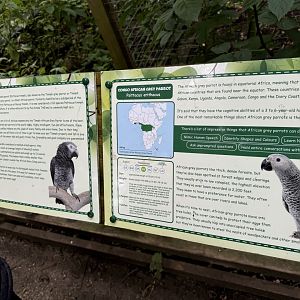 Parrot Signage at Bridlington Animal Park (July 2024)