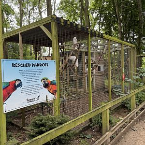 Rescued Parrot Aviaries at Bridlington Animal Park (July 2024)