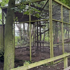 South American Coati Enclosure at Bridlington Animal Park (July 2024)