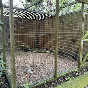 Red-legged Seriema Aviary at Bridlington Animal Park (July 2024)