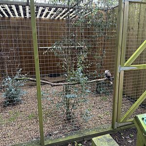 Laughing Kookaburra Aviary at Bridlington Animal Park (July 2024)