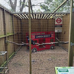 Common Raven Aviary at Bridlington Animal Park (July 2024)