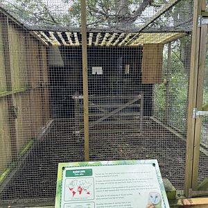 Barn Owl Aviary at Bridlington Animal Park (July 2024)
