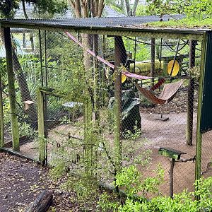 Brown Capuchin Exhibit Annex