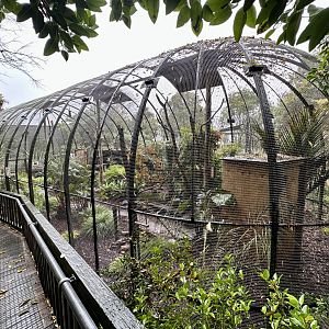 South American Aviary