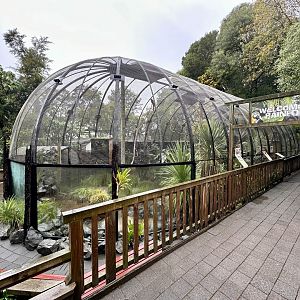 South American Aviary