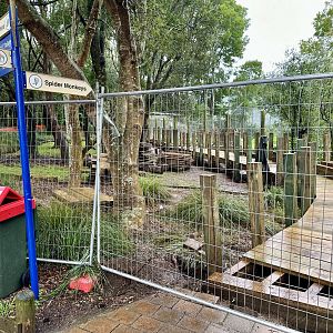 Spider Monkey Boardwalk Rennovations