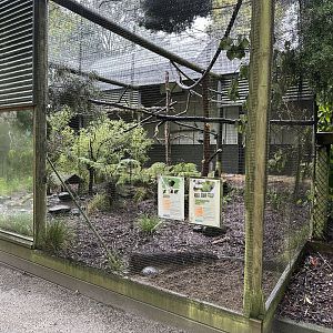 New Zealand Aviary