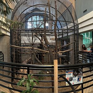 Cape Porcupine Exhibit in Cat House