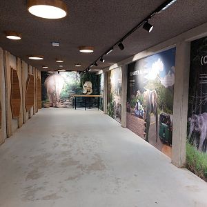 Visitor corridor in elephant stables