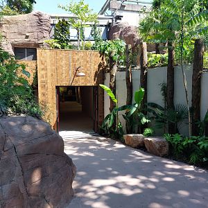 Elephant stable entrance