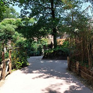 Path to elephant stables