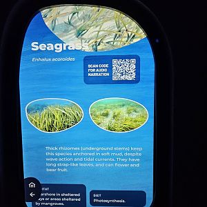 Signage example in Ocean Pavilion