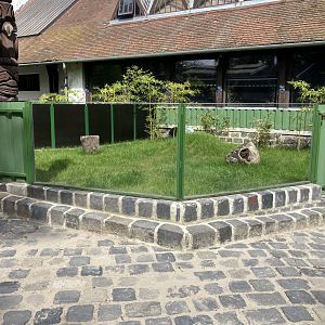 New wombat enclosures