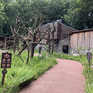 New lemur walkthrough 01/07/2024