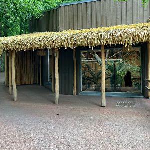 Indoor enclosure for ring-tailed lemurs and black lemurs 01/07/2024