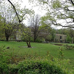 Savannah (rhino enclosure)