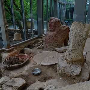 Giraffe House: meerkat indoor enclosure