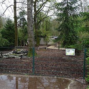 Muntjac enclosure