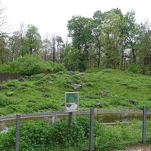 Forest reindeer enclosure