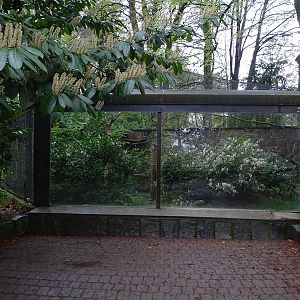 Great great owl enclosure