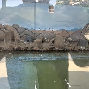 Penguin Cove Indoor