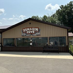 Penguin Cove Outdoor