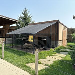 Southern Ground Hornbill Exhibit