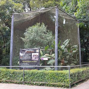 Crested caracara exhibit - Zoo Curitiba