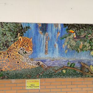 Mosaic - Zoo Curitiba