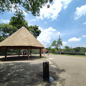 Main square - Zoo Curitiba