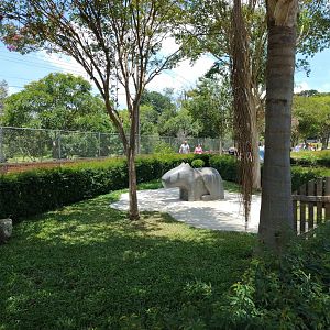 Capybara educational garden - Zoo Curitiba