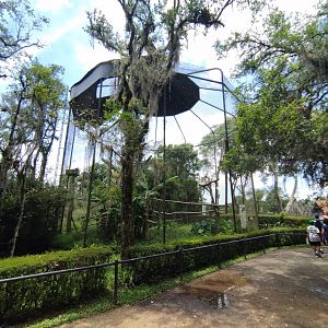Harpy eagle aviary I - Zoo Curitiba