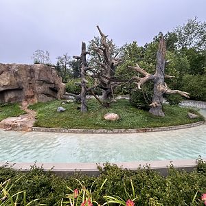 White-faced Capuchin Exhibit