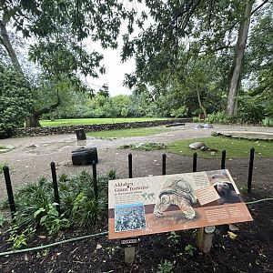 Aldabra Tortoise Exhibit