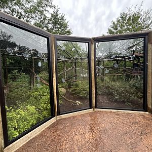 White-faced Saki & Hoffman's Two-toed Sloth Exhibit