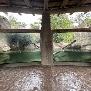 North American River Otter Exhibit