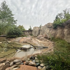 North American River Otter Exhibit