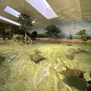 Stingray Bay - Australian Adventure