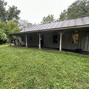 Eastern Gray Kangaroo Exhibit - Australian Adventure