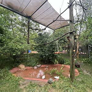 Walkthrough Aviary - Australian Adventure