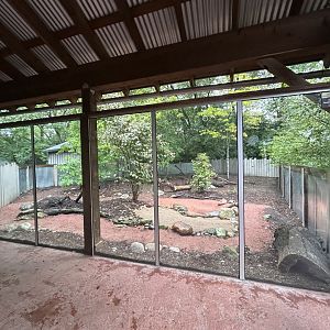 Tasmanian Devil Exhibit - Australian Adventure