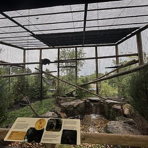 Binturong Exhibit - Asian Trek
