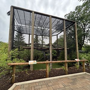 Red Panda & Reeves Muntjac Exhibit - Asian Trek