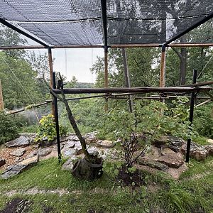 Red Panda Exhibit - Asian Trek