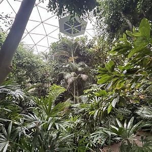 Jungle Dome Aviary - Asian Trek